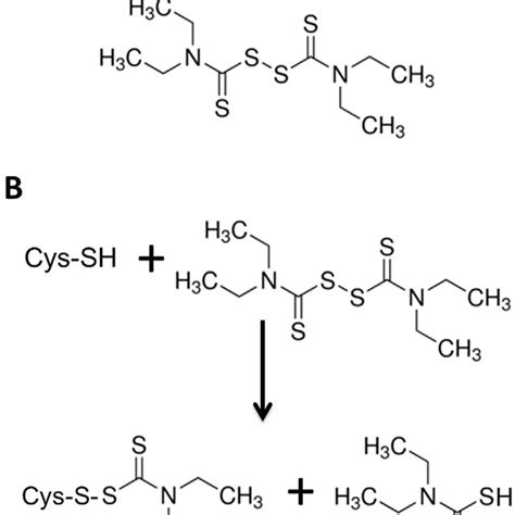 Structure and reaction mechanism of disulfiram. (A) Chemical structure ...