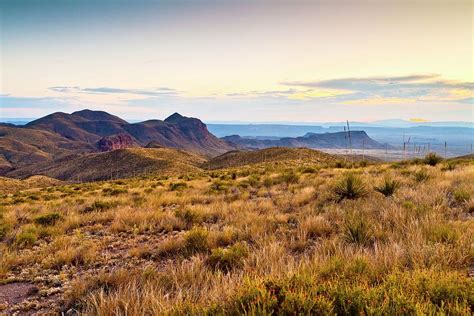 Arid Landscape With Vegetation Digital Art by Kav Dadfar