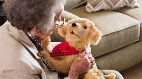 Hasbro Introduces Robot Pets to Comfort Aging Seniors | KOMO