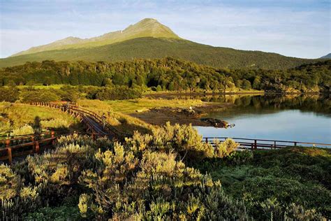 The Ultimate Guide to Argentina's Tierra Del Fuego National Park