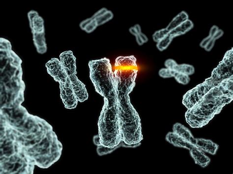 Types and Examples of DNA Mutations