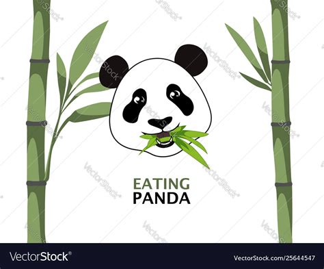 Panda eating bamboo Royalty Free Vector Image - VectorStock