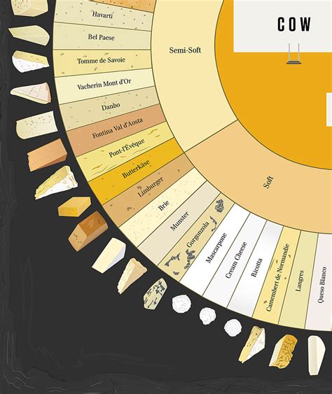 The CHEESE WHEEL – The Bazraa