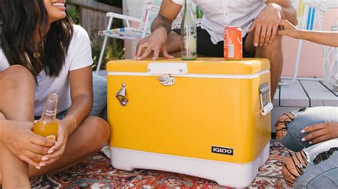 Best Coolers For Summer 2023 - IMBOLDN