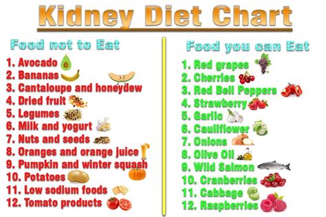 kidney diet plan for kidney disease patient | Kidney disease diet ...