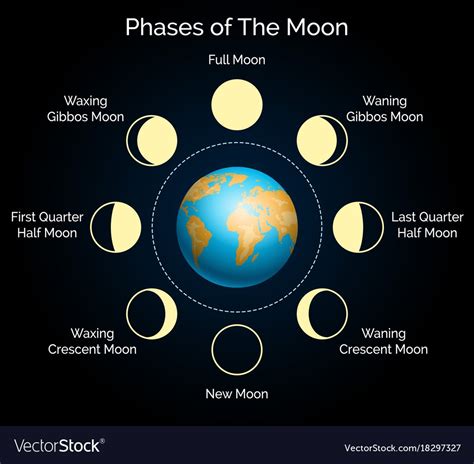 8.7B - Lunar Cycle | 251 plays | Quizizz