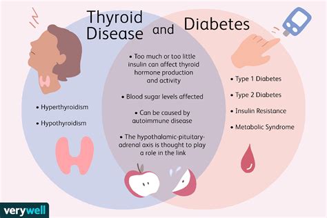 The Connection Between Thyroid Disease and Diabetes