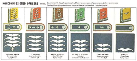 Luftwaffe Rank Insignia for Flight Clothing from Hessen Antique