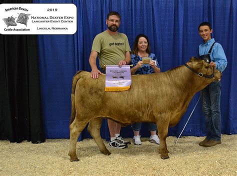 Expo Photos - American Dexter Cattle Association