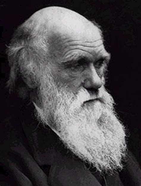 1 Charles Darwin Used Which Term to Describe Evolution