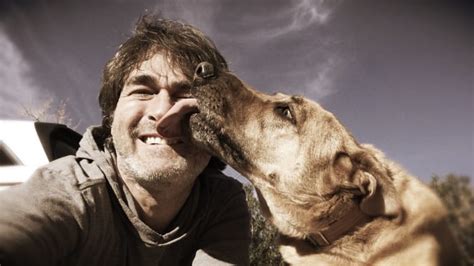 Why is My Dog Licking My Face? 7 Reasons and Expert Tips - Dog Discoveries