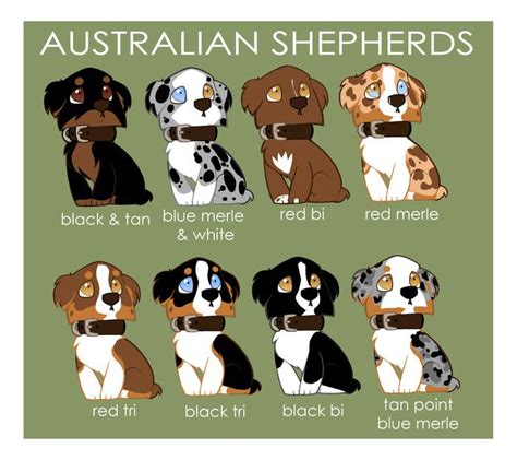 Australian Shepherds Art Print by Brit Eddy | Australian shepherd ...