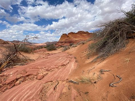 Hiking The Wave In Arizona