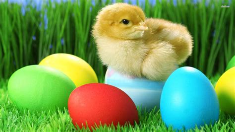 Easter Chick Wallpaper - WallpaperSafari