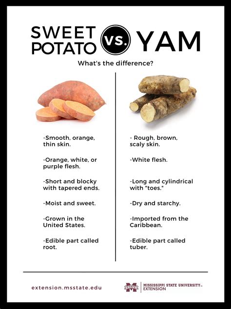 sweet potato vs. yam-2-ver2 - The Possible Canine