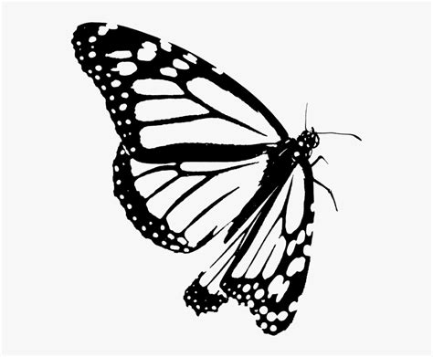 Outline Butterfly Images Clip Art Black And White - Rectangle Circle