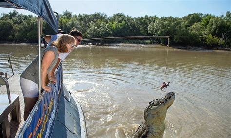 Adelaide River Jumping Crocodile Cruise