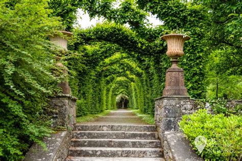 Birr Castle Gardens - a springtime delight • All Around Ireland