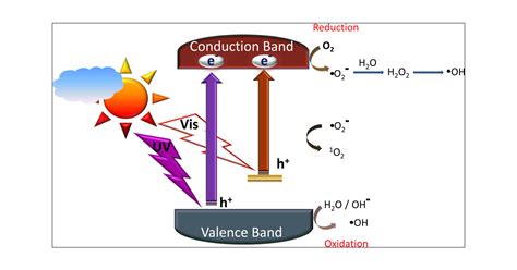 New Insights into the Mechanism of Visible Light Photocatalysis | The ...