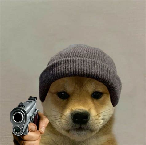 Shiba Doge Meme Wallpaper - Doge Wallpaper Iphone | Doge meme, Doge ...