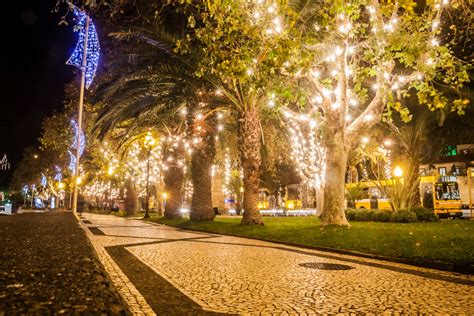 Funchal Christmas Market | 2024 Dates, Locations & Must-Knows ...