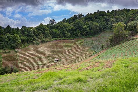 Integrated Farming 1348170 Stock Photo at Vecteezy