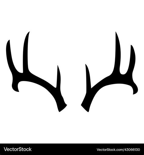 Whitetail deer antlers www.panoramapeliculas.com.br