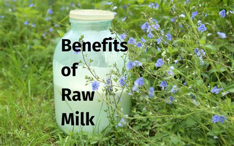 There are Many Benefits of Raw Milk - Peaceful Heart Farm