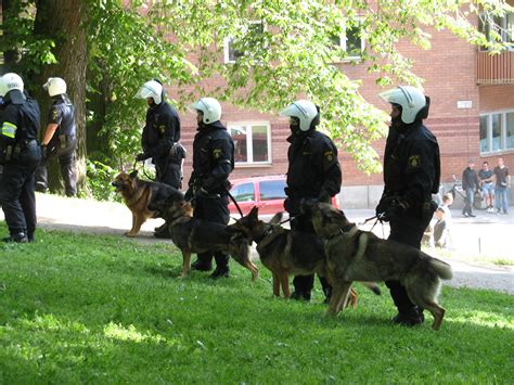 K9 Police Dogs In Action | www.galleryhip.com - The Hippest Pics