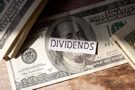 5 High-Yield Dividend Stocks to Watch | The Motley Fool