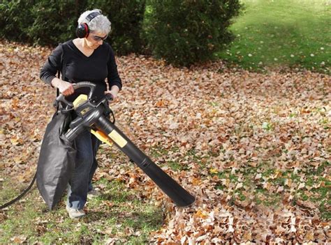 ? The Best Leaf Vacuum Mulcher of 2019 | Best 4 Your Home - Best For ...