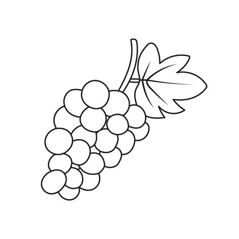 Hand drawn Kids drawing Cartoon Vector illustration grapes fruit icon ...