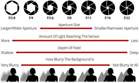 Aperture: Discover How To Take Control Of Depth Of Field For More ...