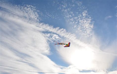 Types of Kites: Different Kites and How to Fly Them