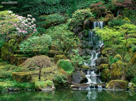 Nature: Japanese Gardens, Portland, Oregon, picture nr. 16302