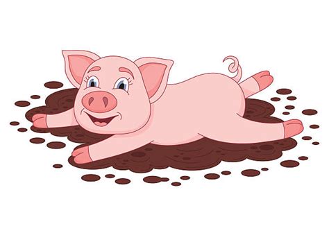 muddy pig clipart 10 free Cliparts | Download images on Clipground 2024