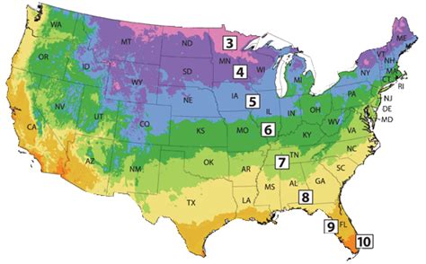 Plant Zone Map Of Us - Show Me The United States Of America Map