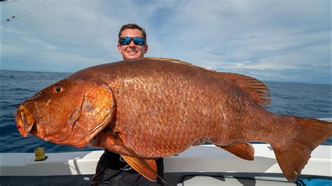 MASSIVE Mexican Cubera Snapper! Catch Clean Cook! - YouTube