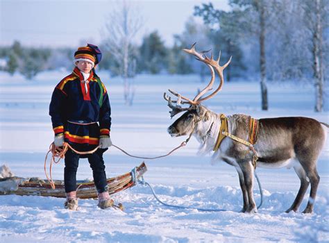 Saami and reindeer, Lapland | Lapland, Lapland finland, Reindeer