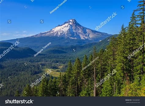 1,354 Mount hood national forest Images, Stock Photos & Vectors ...