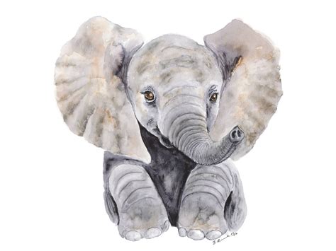 Baby Elephant Watercolor at GetDrawings | Free download