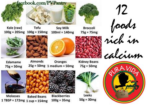 Calcium Rich Food Sources - AnthonyWalch