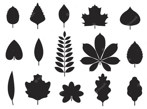 Free Fall Leaf Silhouette, Download Free Fall Leaf Silhouette png ...