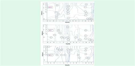 Dissolved Oxygen variation with depth at different months in sea water ...