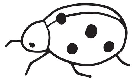 Premium Vector | Ladybug doodle beetle sketch ladybird line drawing