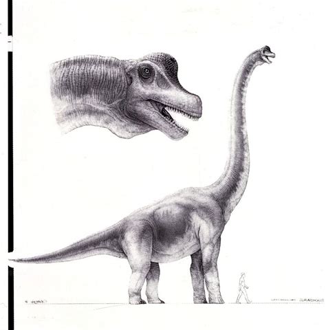 Dinosaur art, Jurassic park, Dinosaur images