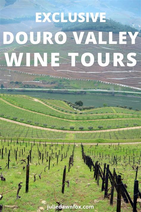 How To Feel Special On A Douro Valley Private Tour | Douro valley, Wine ...