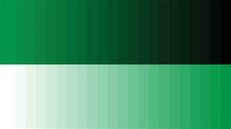 Color palette green 16854092 Vector Art at Vecteezy