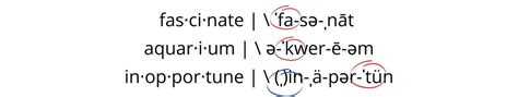 What Is Anapestic Meter: Dactylic Meter & Stressed Syllables