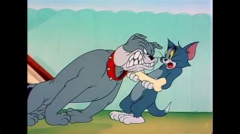 Tom and jerry|| Tom stole Spike's bone - YouTube